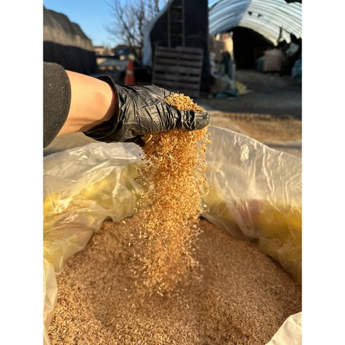 왕겨로 건강한 식물 재배의 시작!