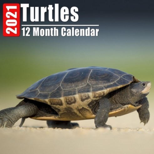 Calendar 2021 Turtles: Cute Turtle Photos Monthly Mini Calendar With ...