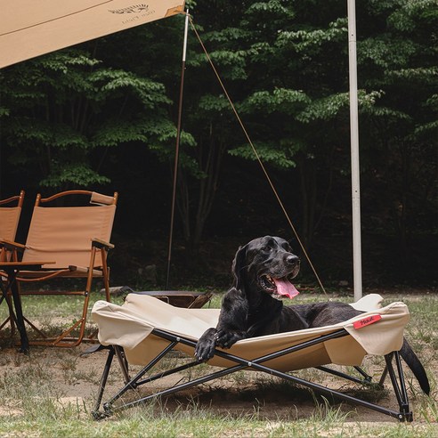 반려동물 캠핑을 위한 편안한 의자와 도그코트