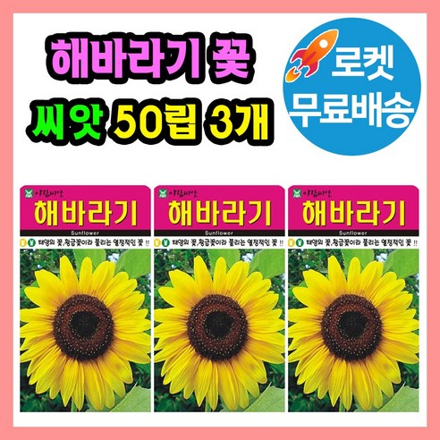 해바라기 씨앗 (합 150립) 관상용 야생화 꽃씨, 3개