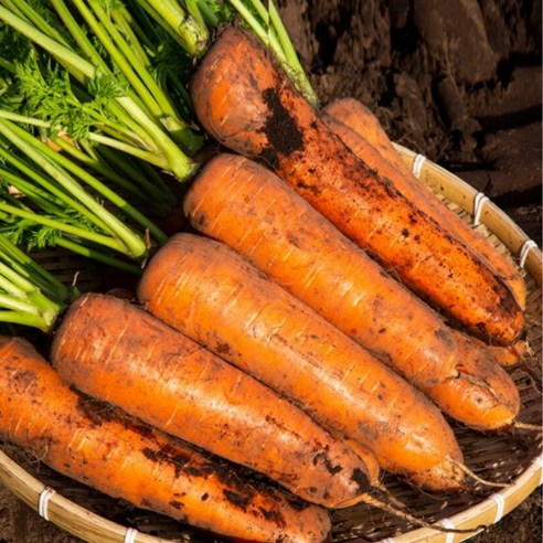 자연의 맛, 건강한 선택