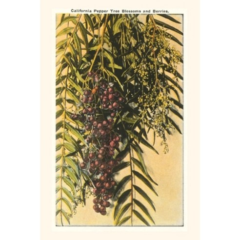 (영문도서) The Vintage Journal California Pepper Blossoms and Berries Paperback, Found Image Press