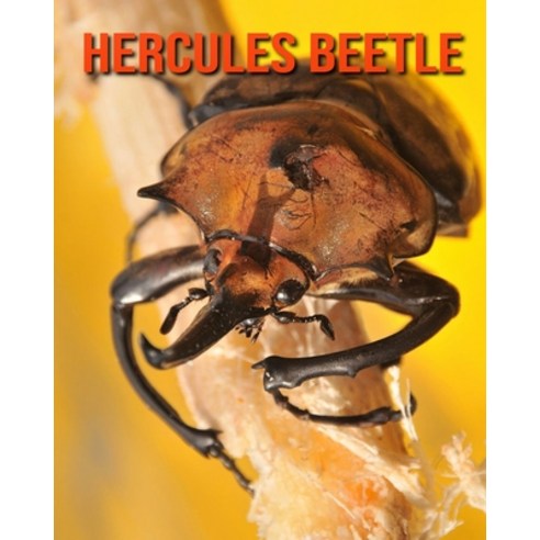 Hercules Beetle: Amazing Facts about Hercules Beetle Paperback, Independently Published