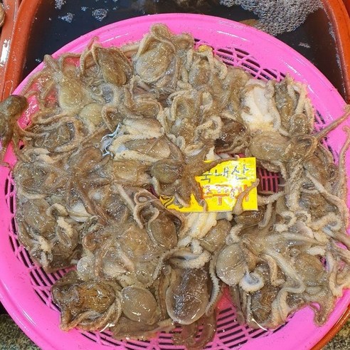 봄의 활력을 담은 싱싱한 쭈꾸미, 미각을 깨우는 특별한 선물