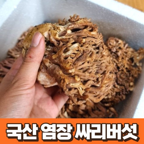 자연산 생 싸리버섯 1kg 국산 강원도 지리산 싸리버섯 국내산 채취 산지 직송 싸리 버섯 빗자루 버섯 참싸리버섯 송이싸리버섯 물싸리버섯 보라싸리버섯 물푸레싸리버섯 황금싸리버섯, 1개