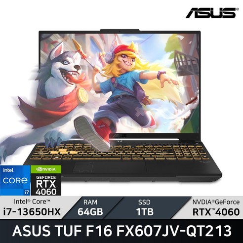 ASUS TUF Gaming F16 FX607JV-QT213 / 아수스 에이수스 게이밍노트북 RTX 4060, Mecha Gray, 1TB, 64GB, Free DOS, 2024년