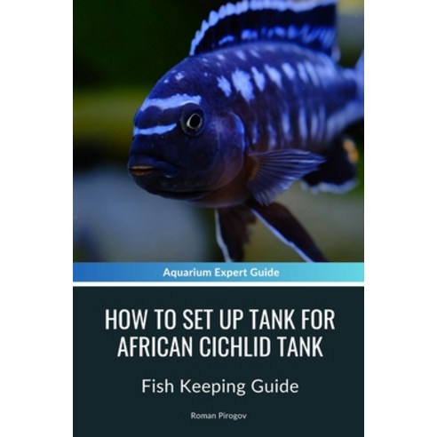 (영문도서) How to Set up tank for African Cichlid Tank: Fish Keeping Guide Paperback, Independently Published, English, 9798883231963