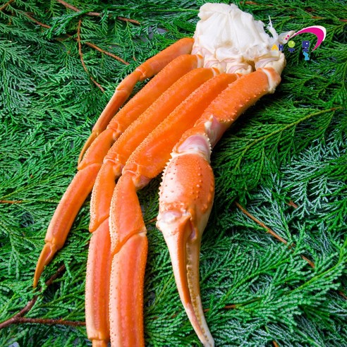 최상의 맛과 가치를 제공하는 새우몰 대게 스노우크랩