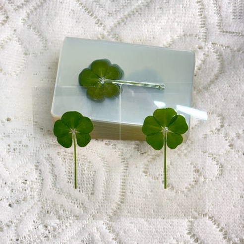 일상에 행운을 더하는 특별한 위로, 다섯잎클로버 코팅 카드