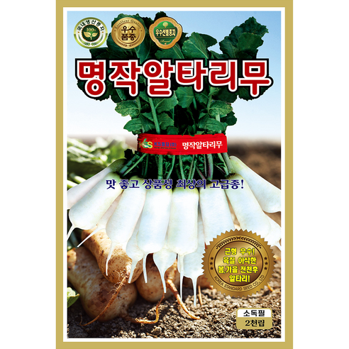 열무 배추 무 씨앗 모음 종자, 2개