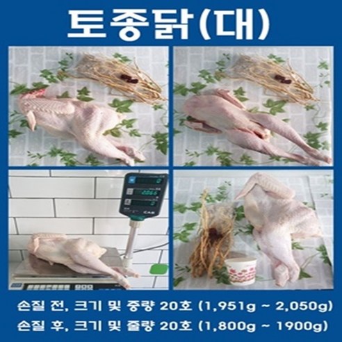 [성도축산] 토종닭 20호[ 손질후1 650g 이상 ~] 당일도계&손질 냉장토종닭 백숙용.볶음용, 토종닭 20호 ( 백숙용 ) 1,650g, 1개