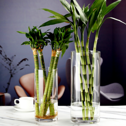 우아함과 내구성이 조화된 비비드하우스 대형 투명 화병