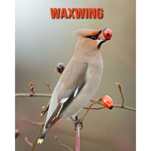 Waxwing: Fun Learning Facts About Waxwing Paperback, Independently Published, English, 9798558474749