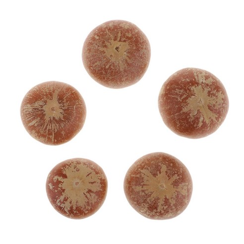 5 pcs 팩 진짜 말린 작은 버섯 사진 소품 자연 장식품 가을 겨울 사이트 레이아웃 장식 diy 수제 식물 꽃 장식, 그림과 같이, 말린 버섯
