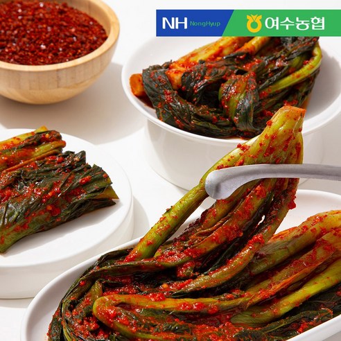 [여수농협] HACCP 100%국산 돌산 갓김치, 1세트, 3kg