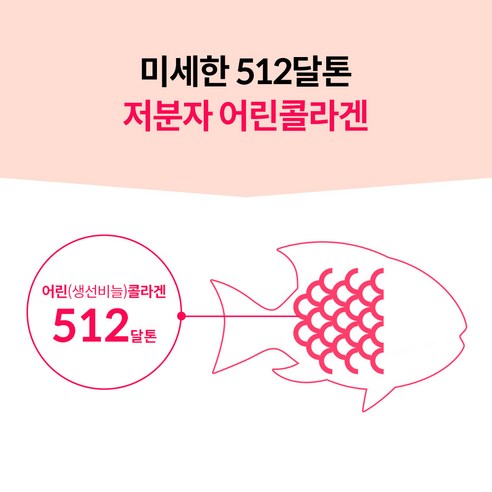 피부 건강을 개선하고 주름과 미세선을 줄이는 필수적인 피부 영양소