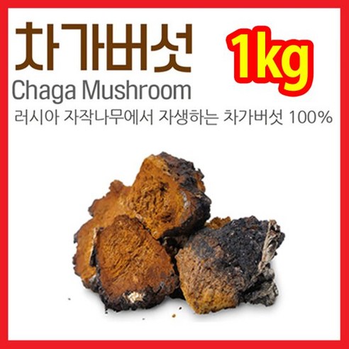 The큰나무 시베리안 차가버섯 (러시아) 원물 차, 1개, 500g