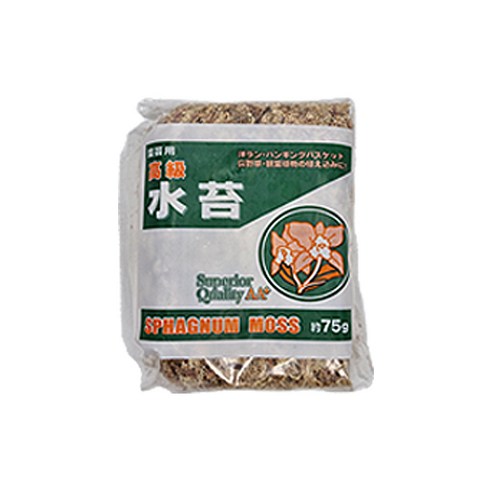 테라리움  갑조네 테라리움 토피어리 수태 75g, 1개