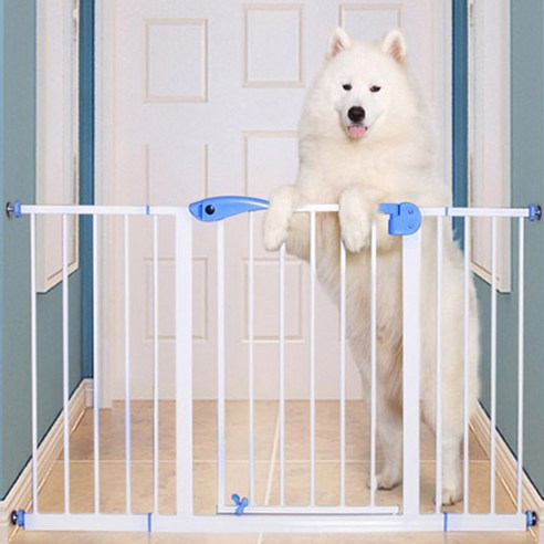 안전한 애견 관리와 편리한 출입을 위한 춘자상회 강아지 반자동 안전문 확장패널