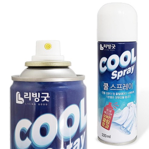 리빙굿 쿨 스프레이 220ml 멘톨 냉각효과 의류 쿨링, 단품, 케이씨 1, ※◎상품선택▣ 배구스프레이 Best Top5