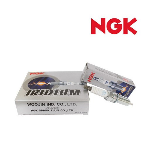 백금플러그 추천 NGK 백금플러그 – PLFR6A 2023년 BEST상품 TOP10