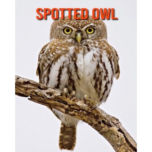 Spotted Owl: Fun Facts & Cool Pictures Paperback, Independently Published, English, 9798563280472