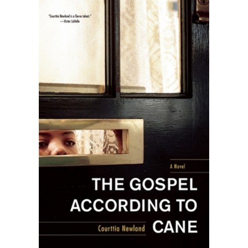 The Gospel According to Cane Paperback, Akashic Books, English, 9781617751332