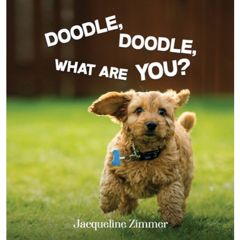 (영문도서) Doodle Doodle What Are You? Hardcover, Jacqueline Zimmer, English, 9781088113554