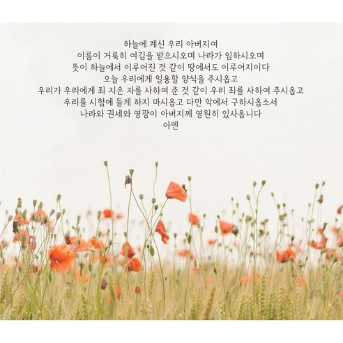 주기도문 테피스트리 대형 패브릭 포스터 태피스트리 가리개 천 벽 창문 GW몰, B, 27