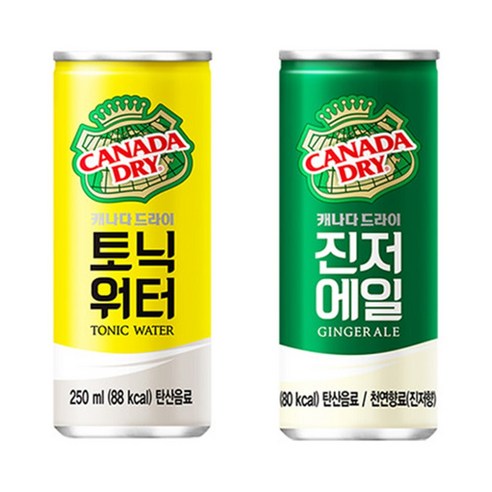 캐나다드라이 하이볼 진저에일 & 토닉워터로 홈바를 완성하세요!