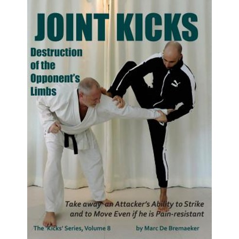 Joint Kicks: Destruction of the Opponent''s Limbs Paperback, Fons Sapientiae Publishing, English, 9780995795242