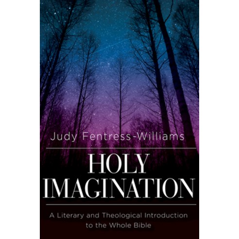Holy Imagination: A Literary and Theological Introduction to the Whole Bible Paperback, Abingdon Press, English, 9781426775314