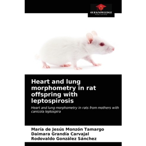 (영문도서) Heart and lung morphometry in rat offspring with leptospirosis Paperback, Our Knowledge Publishing, English, 9786203162639