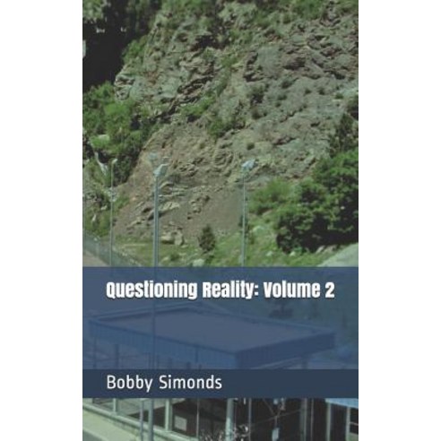 (영문도서) Questioning Reality: Volume 2 Paperback, Independently Published, English, 9781796910827