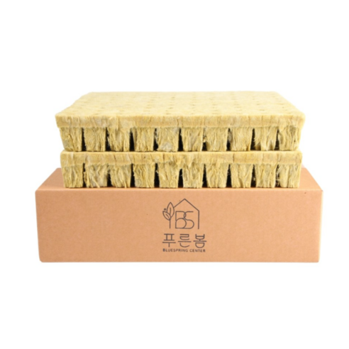 그로단 100구 씨앗 종자 발아용 LG틔운미니 수경재배 스펀지 파종 2.5x2.5x4cm, 2개