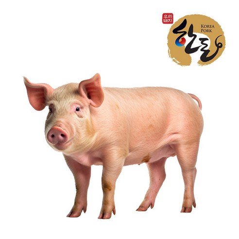 사랑하는 반려견을 위한 건강하고 맛있는 선택, 더보양 보양새참