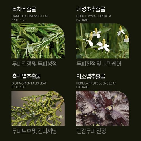 지친 두피에 자연의 생기를 불어넣다