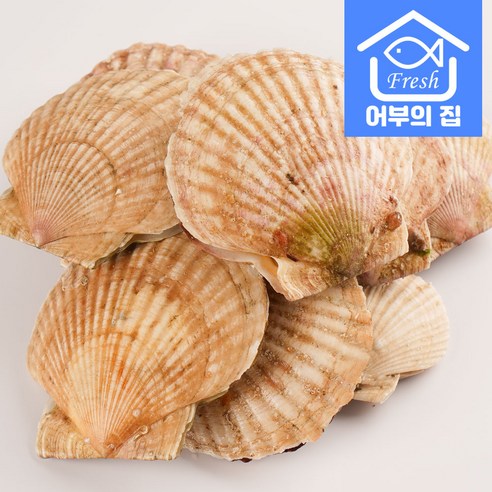 신선하고 맛있으며 영양가 풍부한 어부의집 제철 대왕 가리비