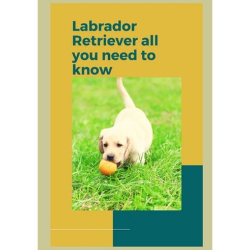 (영문도서) How to Train a Labrador Retriever Paperback, Independently Published, English, 9798378547852