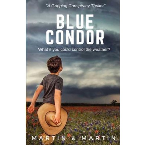 Blue Condor Paperback, English, 9781949472660, Beacon Publishing Group