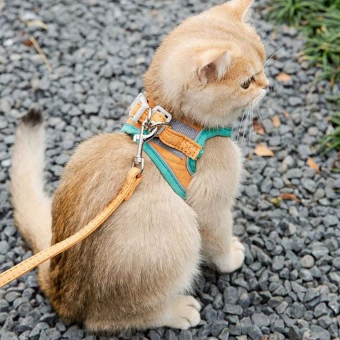 레오펫 강아지 고양이 찍찍이 하네스+리드줄 세트 이지워크, 그린오렌지