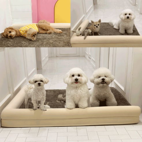 펫투더퓨쳐 메모리폼 강아지침대 대형견 다둥이