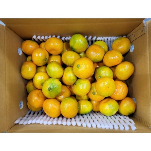 제주 고당도 새콤달콤 하우스 감귤 가정용, 1박스, 5kg (S-M)