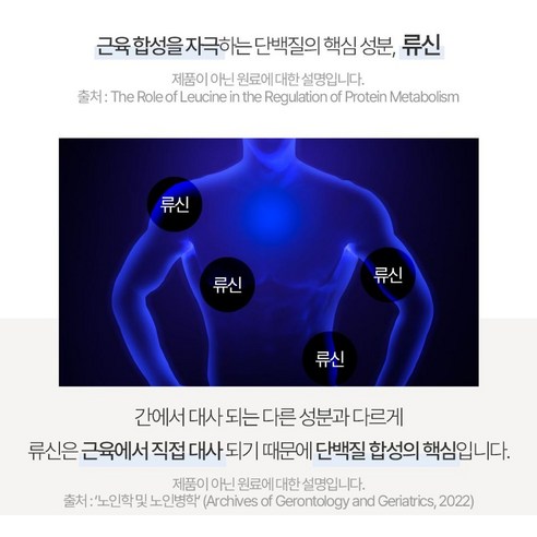 류신 타블렛 근육단백질: 필수 아미노산으로 근손실 예방