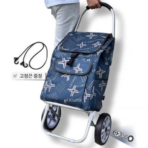 라이오닉 다목적 접이식 쇼핑카트, 혼합색상, 1개
