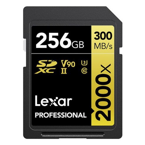 렉사 프로페셔널 SD 메모리 카드 2000x, 256GB