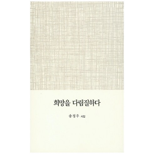 희망을 다림질하다:송정우 시집, 세종출판사