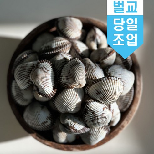 신선한 바다의 맛을 집에서 직접 즐기는 벌교 새꼬막