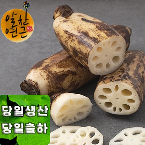 알찬연근팜 친환경 햇연근 1kg 2kg 가격 품질 모두 만족, 1kg(정품), 1개