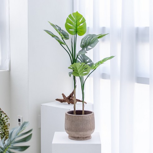 [쏘굿] BEST 생화같은 조화나무, 몬스테라 110cm, 1개